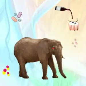 הפיל - טל קליש